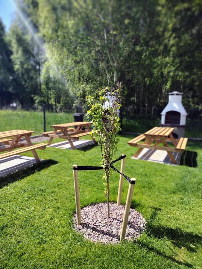 Apartament Zacisze Olo Нехоже Экстерьер фото